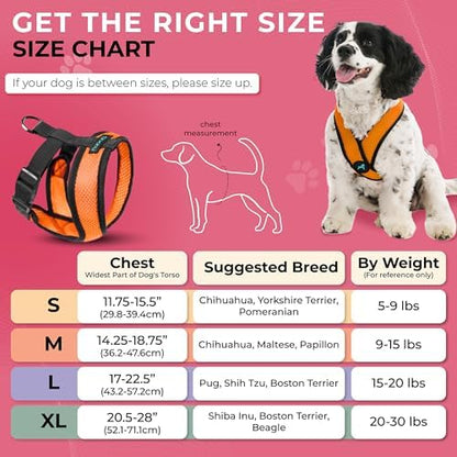 Gooby Comfort X Head-in Dog Harness, Choke-Free, Orange, Medium