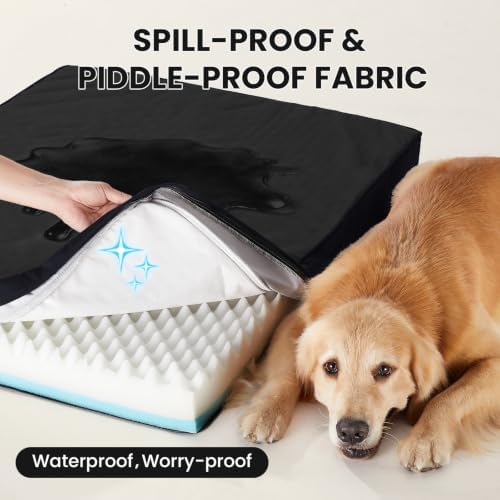 OhGeni Orthopedic Waterproof Large Dog Bed, Memory Foam, 41 inch(Black)