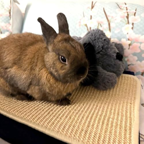 Bunny Scratch Pad - Sisal Mat for Cages, Chew & Rest, 2 Pack
