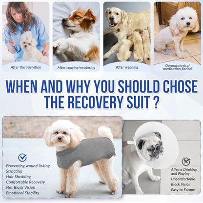 Lukovee Recovery Suit for Dogs, Onesie Spay Neuter Surgery Suit Female Male