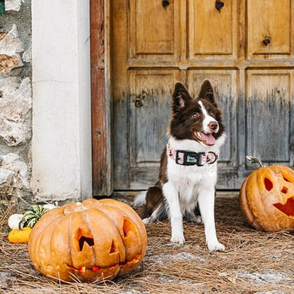 Ghost Dog Collar, Halloween Pet Collar Fall Adjustable Cute Lightweight Quick-Release Buckle Collars Holiday Puppy Collars Comfortable Cotton for Boy&Girl X-Small Dogs