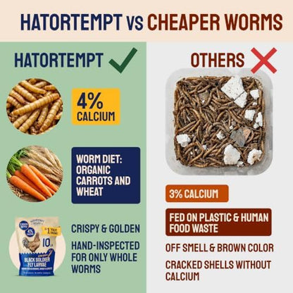 Hatortempt 5lb Black Soldier Fly Larvae for Chickens, Calci Chicken Treats