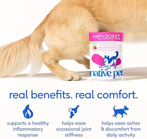 Native Pet Inflammatory Care - Pain Relief for Dogs - Green-Lipped Mussel, Turmeric & Collagen for Dogs - Hip and Joint Supplement Supports Healthy Inflammatory Response & Joint Comfort - 120 Chews