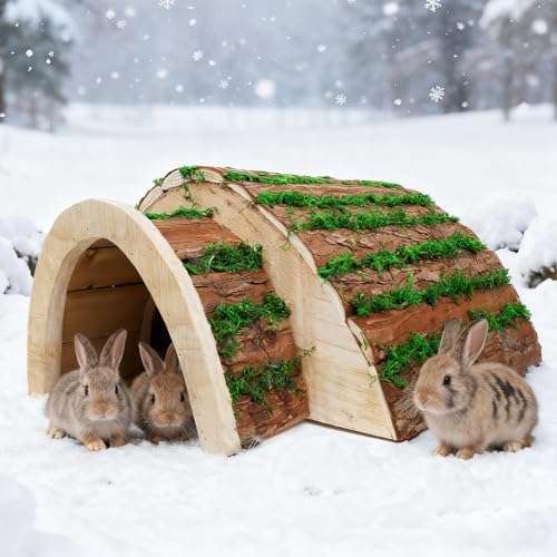 Hideout for Bunnies, Hedgehogs, Guinea Pigs, Chinchillas, Hamsters