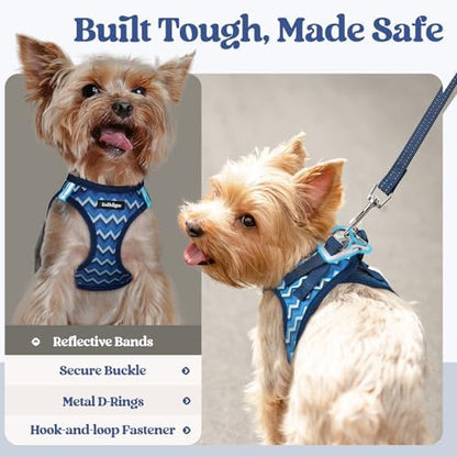 rabbitgoo Dog Harness Small Sized and Leash Set, Step-in Puppy Pet Vest