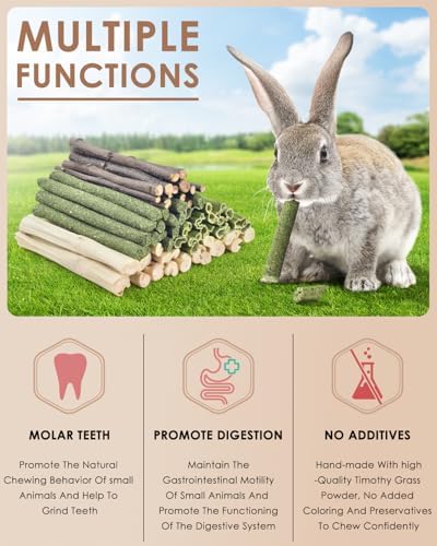 Bissap 60PCS Rabbit Chew Sticks, Natural Mix Molar Treat for Small Animals