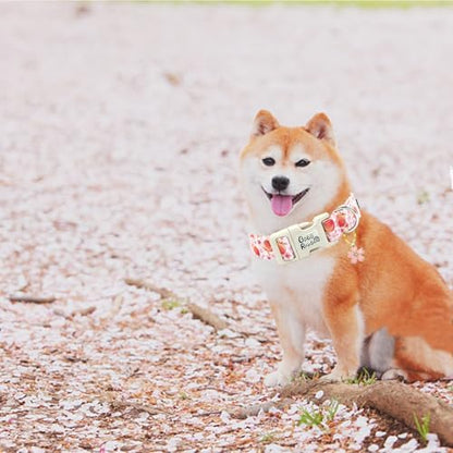 Dog Collar-Cute Pink Peach Print Adjustable Pet Collars Spring Comfortable Cotton Puppy Collar Gift for Medium Dogs