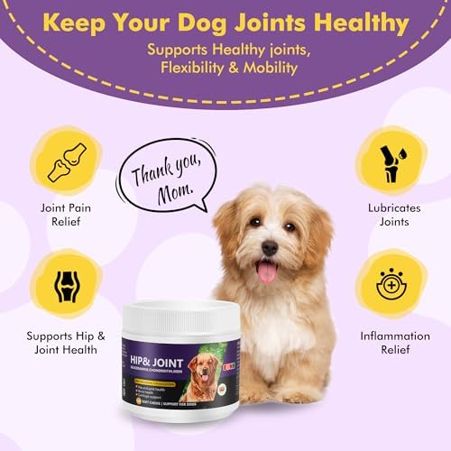 Hip&Joint Support Chews for Dogs,Glucosamine Chondroitin MSM,120 Count