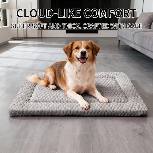 Dog Bed Mat - Dog Crate Pad - Reversible Mat for Pet Comfort - Soft Bed Crate Pads for All Seasons - Durable, Machine Washable Mat for Crates, Travel, and Home (Light Gray, 30" L*20" W*1.5" Th)