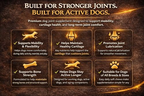 Dog Joint Supplement – Hip & Joint Chews for Dogs | Glucosamine, Chondroitin, MSM & Green Lipped Mussel | Supports Mobility & Cartilage | Braveheart K9 | Made in USA