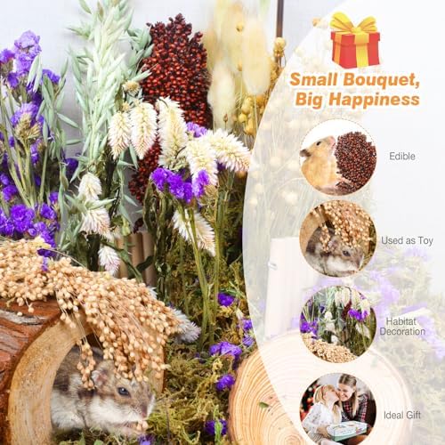 Natural Hamster Bedding, Hamster Herbs Flowers for Hamster Cage Enclosure Habitat Decor Hamster Sprays for Dwarf Syrian Guinea Hamsters Gerbil Degus or Other Small Animals（Flower Grain Version）