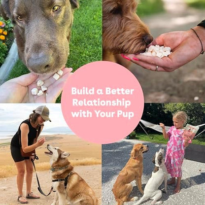Pupford Freeze Dried Dog & Puppy Training Treats (Sweet Potato, 4 oz)