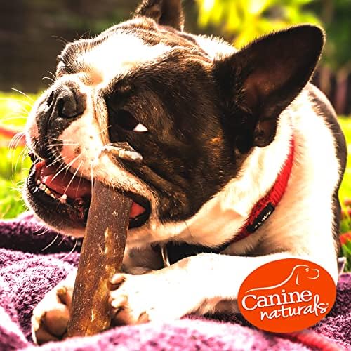Canine Naturals Rawhide Free Peanut Butter Dog Chews, Mini Rolls, 6 Count