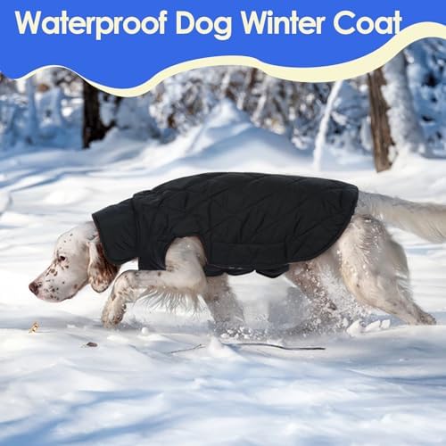 MIGOHI Reversible Winter Jacket for Dogs,Green 3XL
