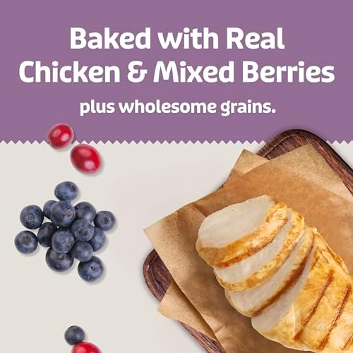 Blue Buffalo Health Bars Chicken & Mixed Berries Soft & Chewy Treats, 9 oz