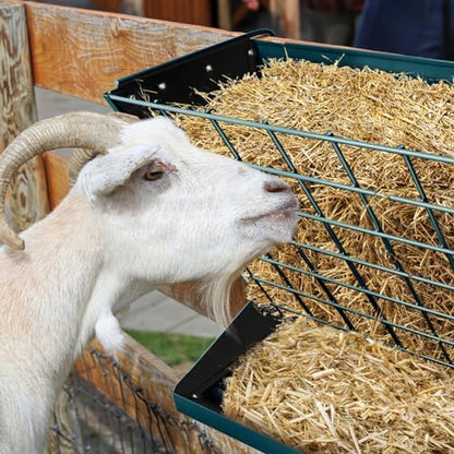 Wall Mount Hay Rack, Metal 2 in 1 Hay and Grain Feeder