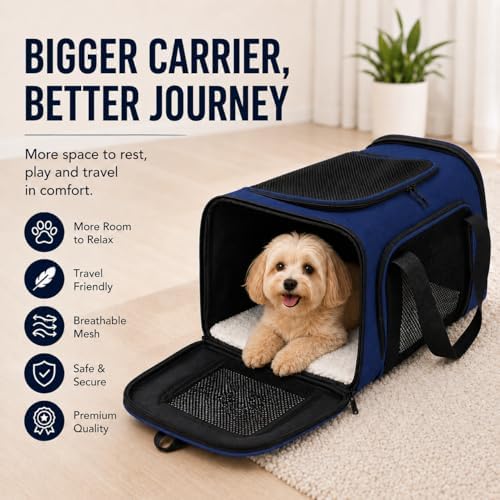 Large Pet Carrier for Cats and Small Dogs, Soft-Sided Travel Carrier with Safety Leash, Scratch-Resistant Mesh, Reinforced PVC Support Base, Foldable Design, 20 x 13 x 13 Inches