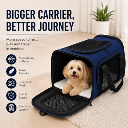 Large Pet Carrier for Cats and Small Dogs, Soft-Sided Travel Carrier with Safety Leash, Scratch-Resistant Mesh, Reinforced PVC Support Base, Foldable Design, 20 x 13 x 13 Inches