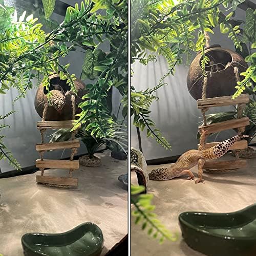 Lizard Coco Den with Ladder,Leopard Gecko Coconut Husk Hut Hideout Home Reptile Hammock Climbing Hanging Plants Decor Habitat Tank Accessories for Bearded Dragon Snake Chameleon