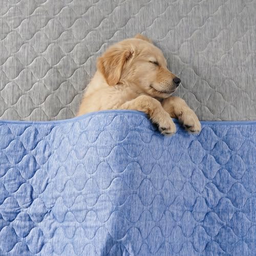 Cozy Bliss Deluxe Leakproof Cooling Blanket for Large Dogs Q-Max 0.5, Soft & Durable Washable Pet Cooling Mat for Hot Weather, Livingroom, Couch & Bed Protector for Cats, Haze Blue, 40"x60"