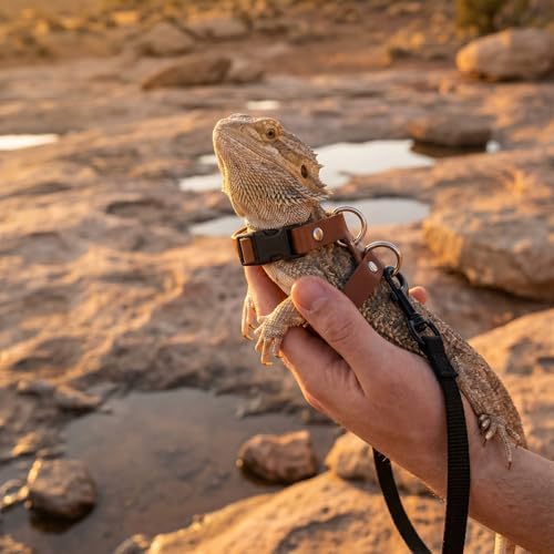 3 Pack Bearded Dragon Leash and Harness Set 3 Size Adjustable Lizard Harness Bearded Dragon Outfits for Reptile Small Animals Training Walking, Easy to Put on and Take Off (Brown)