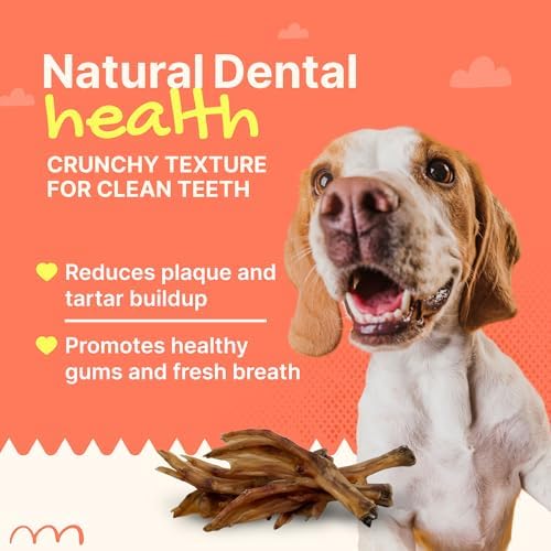 Gaines Pet Duck Feet for Dogs – 8 Count, Natural Chews with Glucosamine, Chondroitin & Collagen – Single Ingredient Dog Treats, Grain-Free, USA Made, Joint & Dental Health Support