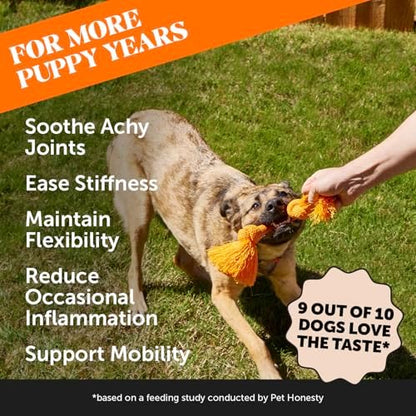 Pet Honesty Vet Recommended Hip and Joint Supplement for Dogs, 90 Count