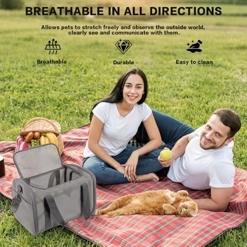 Cat Carrier, Soft-Sided Pet Carrier Bag, Breathable Mesh, Black (Grey, 17 * 11 * 11)