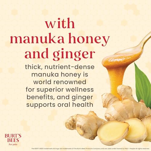 Burt's Bees Manuka Honey Ginger Dental Dog Treats, Sweet Potato, Small
