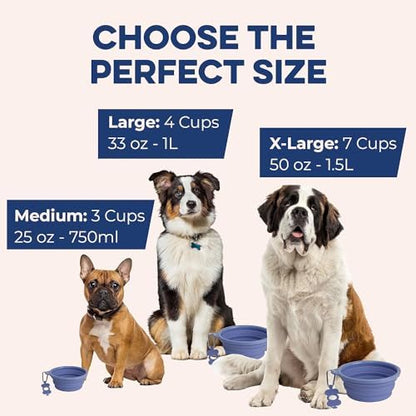 Bonza Collapsible Dog Bowls - Small 12 oz, Dog Travel Accessories, Silicone Portable Dogs Bowl & Water Dish with Reinforced Rim & Carabiner for Hiking, Camping, and Car Trips, Black