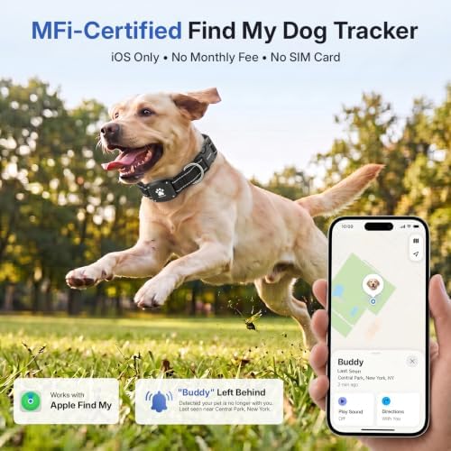 GPS Dog Collar with Tracker, Waterproof, No Monthly Fee, Black, XS
