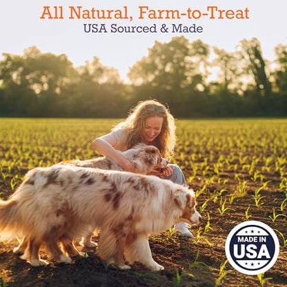 Riley's Turkey & Sweet Potato Jerky Dog Treats - High Protein Snack - 10oz