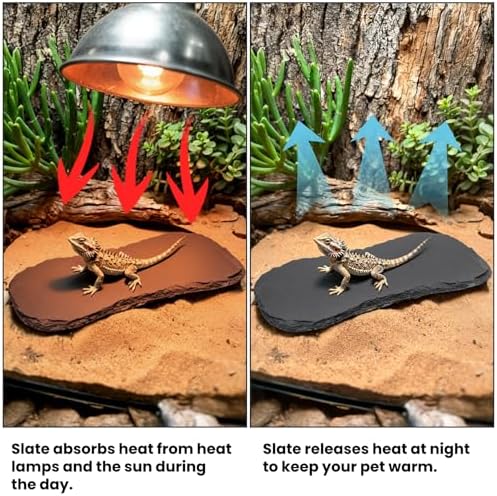 Tlence 3 Pack Reptile Basking Platform, 11''x5.5'' Tortoise Rock Plates, Bearded Dragon Feeding Slate, Lizard Bathing Resting Rock Slab for Gecko Chameleon Snake Frog Habitat Accessories