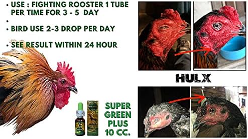 HULX Super Green 10 CC. Rooster Booster Health Care Protection, Quickly Recover Chicken Rooster from Sick, Heal Wounds Pain, Recovery Energy Increase Immunity Poultry & Bird