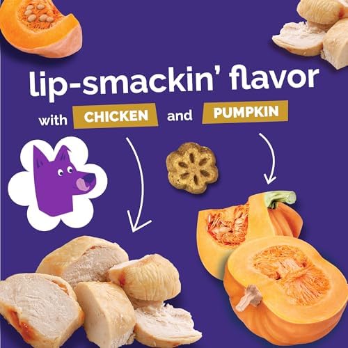 Fruitables Skinny Minis Dog Treats,Healthy Pumpkin Treat for Dogs,Low Calorie & Delicious,Puppy Training,No Wheat,Corn or Soy,Made in the USA,Rotisserie Chicken Flavor,5oz,(Pack of 2)