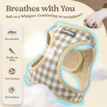 rabbitgoo Dog Harness Medium Sized and Leash Set, Step-in Puppy Pet Vest