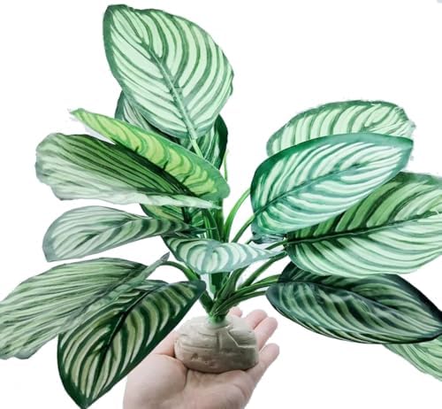 Reptile Plants for Terrarium Decor,Leopard Gecko Tank Plants