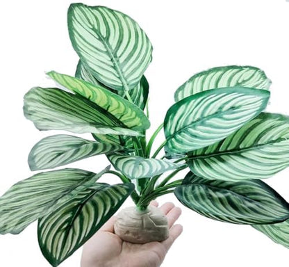 Reptile Plants for Terrarium Decor,Leopard Gecko Tank Plants