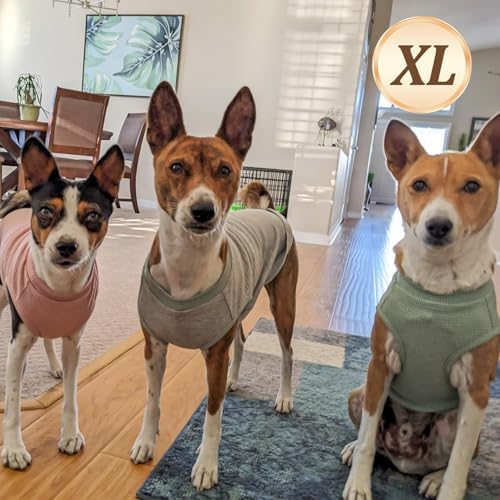 KYEESE 2Pack Waffle Dog Shirt for Small Medium Dogs Striped Dog Sweater