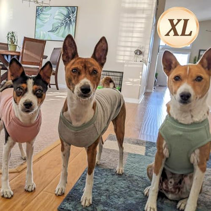 KYEESE 2Pack Waffle Dog Shirt for Small Medium Dogs Striped Dog Sweater
