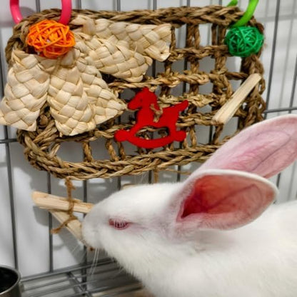 Rabbits Chew Toy, Bunny Cage Hanging Chew Toys and Treats
