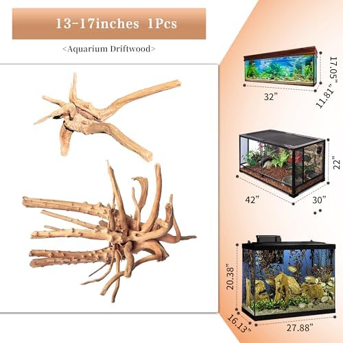 Natural Large Driftwood for Aquarium Decor Fish Tank Decor Reptile Decor