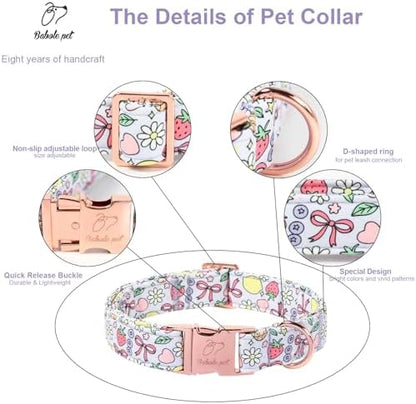Cute Dog Collar, Spring Summer Pastel Dog Collars, Fruit Garden Dream Puppy Collar, Adjustable Heavy Duty Pet Collar for Small Medium Large Dogs with Metal Buckle XL