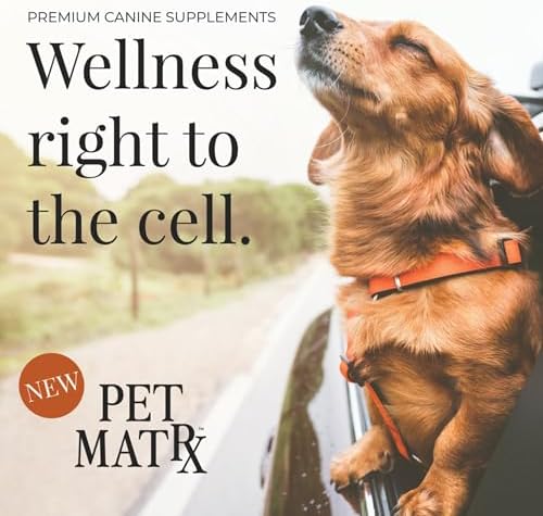Move Joint Health Dog Supplement with Bovine Collagen - Sooth Pain from Inflammation and Support Dog's Immune System with Antioxidants
