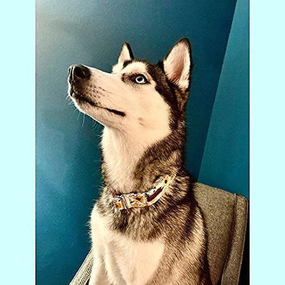 Elegant little tail Sunflower Girl Dog Collar for Female Dogs, Pet Collar Adjustable Dog Collars with Flower Gift for X-Small Dogs and Cats