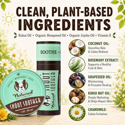 Natural Dog Company Snout Soother Dog Nose Balm – Moisturizer for Dry Crusty Noses, Summer Care for Outdoor Dogs, Hot Weather, Beach Days & Walks with Coconut Oil & Shea Butter, 2 oz Stick