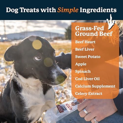 Elevate Pet Provisions Human Grade Air Dried Beef Jerky Dog Treats, 8 oz