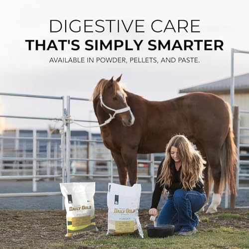 REDMOND Daily Gold Syringe Natural Healing Clay for Gastric Ulcers in Horses (Stress Relief Pre-Race Paste) (Single Pack)