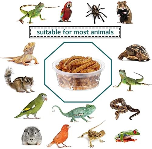 0.5oz Crested Gecko Food and Water Feeding Cups, Reptile Feeder Bowls, Plastic Replacement Food Dish for Lizard and Other Small Pet Ledge Accessories (100 pcs)