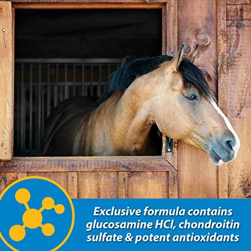 Farnam Fluidflex Liquid Joint Supplement for Horses, Helps Maintain Healthy Hip & Joint Function, 64 Ounces, 64-Day Supply